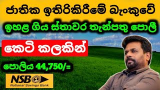 🇱🇰ජාතික ඉතිරිකිරීමේ බැංකුවේ පොලිය NSB Bank Fixed Deposit Rates  fd rates in sri lanka 2024 [upl. by Ikuy]