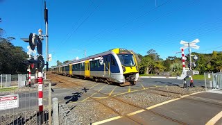 AMA  AMT  AMP 390 on Western Line Service at Sherrybrook Place Level Crossing in Sunnyvale [upl. by Nnuahs901]