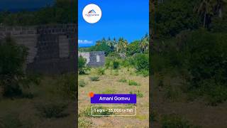 NEW PROJECT AMANI GOMVU BEACH 2 PROJECT SQM 1 35000 realestate viwanja kigamboni invest [upl. by Morrell]