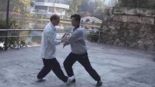 Basic Pushing Hands Tui Shou [upl. by Cramer]