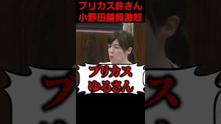 小野田議員がイギリスに激怒。どの口が言ってるんだ。 政治 国会 [upl. by Otina325]