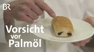 Palmöl Die fette Gefahr  Ernährung  BR [upl. by Nnylsaj]