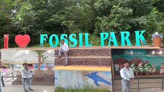 ViewofFossilparkIlovefossilparkBhagaiyaMandroMirjachauki [upl. by Zaragoza]