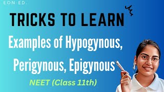 Trick to learn Examples of Hypogynous Perigynous Epigynous [upl. by Seften]