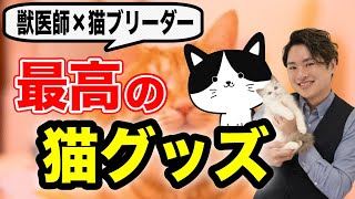 最高におすすめな猫グッズをキャットブリーダー沢辺さんに聞いてみた【トイレ猫砂フードボウルキャットタワー自動給水器】 [upl. by Margery908]