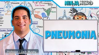 Pneumonia  Overview [upl. by Ireg967]