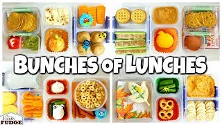 FALL Themed SCHOOL Lunch Ideas for JK 1st grader 3rd grader 🍁 What They DIDNT Eat [upl. by Schaper]