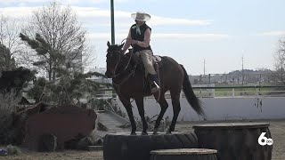 Competitive Mountain Trail Riding showcases the bond between riders and their horse [upl. by Sotnas]