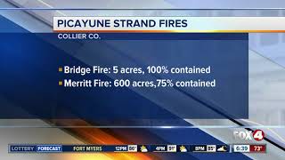 Picayune Strand brush fires [upl. by Aerised]