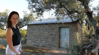 RESTORING 100yearold ABANDONED BARN to Off Grid Homestead [upl. by Lawry261]