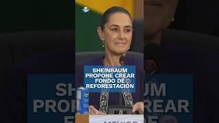 quotSembrar paz y vidaquot pide Sheinbaum en Cumbre del G20 shorts [upl. by Sommers]