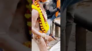 Manikarnika Ghat Mahakaleshwar Aghori Baba ka sthan Banarasi Kashi new video status 2025 [upl. by Yordan]