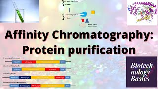 Affinity Chromatography Protein purification [upl. by Adnic]