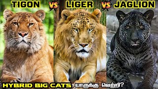 Liger vs Tigon vs Jaglion in Tamil  லைகர் vs டைகான் vs ஜாக்லையான்  Savage Empire [upl. by Uchida]