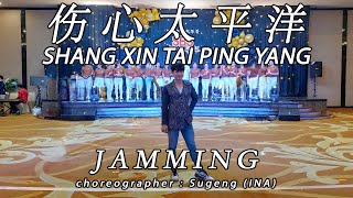 SHANG XIN TAI PING YANG 伤心太平洋  Sun Lu 孙露  LINE DANCE  VSC  Sugeng [upl. by Oirasor820]