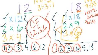 4th Grade Go Math  53  Common Factors [upl. by Aneeg]