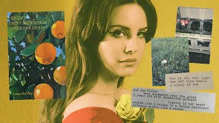 Lana Del Reys Poetry Is A Little Hit and Miss [upl. by Ayn770]