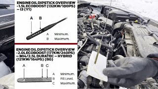 How to Check and Add Engine Oil in FORD ESCAPE 2020  2024 [upl. by Nanfa]