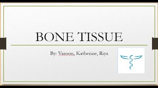 ISU  3 Bone Tissue [upl. by Eniamej343]