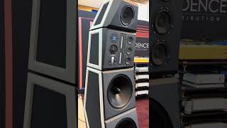 Siltech Symphony  485000 EUR music hifi loudspeaker hifisound hifiaudio bass loudspeakers [upl. by Rodolfo]