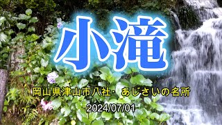 小滝 岡山県津山市八社・あじさいの名所 20240701 [upl. by Ardnac]