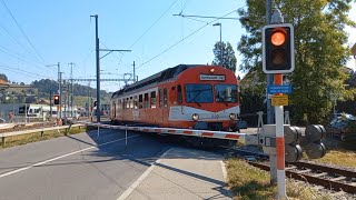 Bahnübergang Huttwil CH  Swiss Railroad Crossing [upl. by Kallick513]