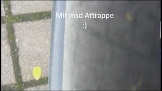 Golf 5 GTI Msd Attrappe Sound [upl. by Anizor932]