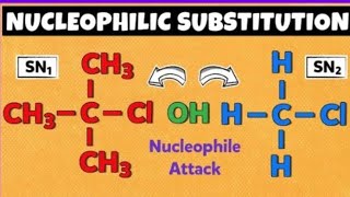 SN¹ amp SN² reaction Mechanism of Haloalkanes Nucleophilic substitution Reaction Class  12th [upl. by Nodnerb]