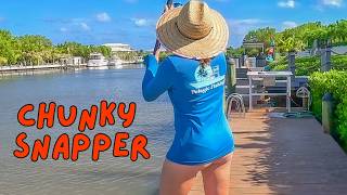 Florida Keys Lifestyle  BIG Surprise Dock Fishing Between Trips Catch amp Clean [upl. by Leinahtam]