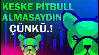 PİTBULL PİT ÜZÜLEREK SÖYLÜYORUM AMA GERÇEK [upl. by Naras]