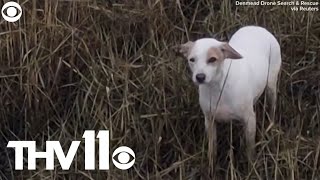 Rescue team uses drone and sausage to guide dog to safety [upl. by Kelila241]