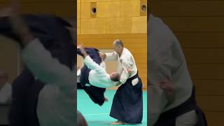 wwwaikikaisk  Slovak Aikido Association  Aikikai Slovakia [upl. by Guerra829]