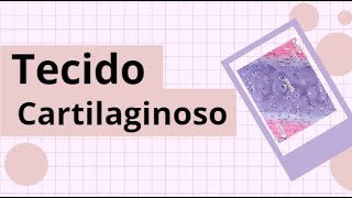 Tecido Cartilaginoso  Histologia [upl. by Daeriam]