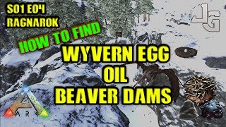 ARK Ragnarok  Finding Wyvern Egg Oil and Beaver Damscementing paste  S01E04 [upl. by Nilek]