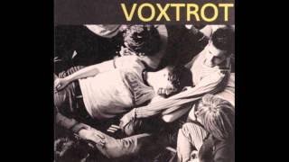 Voxtrot  Raised by Wolves lyrics [upl. by Nelleeus951]