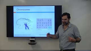 Nucleotides Chromosomes and Haplotypes Oh My [upl. by Oibaf]