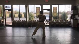 MIRRORED VIDEO Choong Jung 2 Red Belt Form [upl. by Malliw]