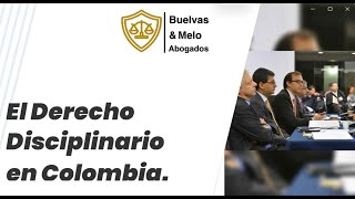 El derecho disciplinario en Colombia ¿Sabes cuáles son sus principios fundamentales [upl. by Jamesy]