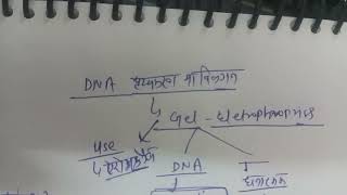 recombinant DNA technology upsc cse and pcs [upl. by Herbst42]