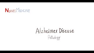 Alzheimers disease  plaques  tangles  Pathogenesis and Morphology [upl. by Helbonnah]