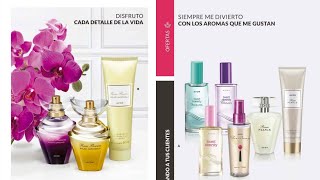 AVON CONTIGO CAMPAÑA 05 2024 [upl. by Sigfrid163]