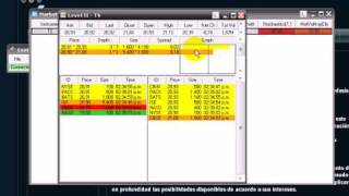 NinjaTrader usando el Level 2 y time and sales [upl. by Nirrek782]