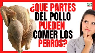 🐔 ¿QUE PARTES DEL POLLO PUEDEN COMER LOS PERROS 🐔 MOLLEJAS HÍGADO PIEL HUESOS [upl. by Nelli]