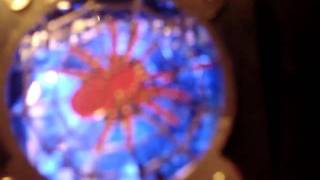 Custom MODDED PSP  Internal FAN Spider Fan Grill Led lights  more [upl. by Hughes711]