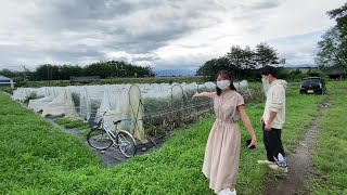 【農学部】松島憲一准教授 根本和洋助教（植物遺伝育種学研究室）2021オープンラボ動画 [upl. by Ellohcin]