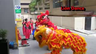 Lion Dance [upl. by Eleda]