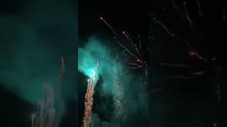 Traumhafte Batterie😍🔥 shorts silvester feuerwerk pyro fireworks [upl. by Cutter685]