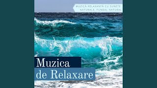 Muzică Relaxantă [upl. by Annabella407]