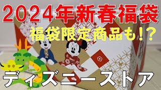 【福袋】ディズニーストア 2024年新春福袋 ラッキーボックス [upl. by Daffy]