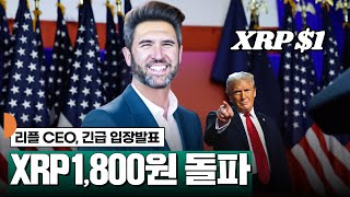 리플 1800원 돌파 리플 CEO 긴급 입장발표 XRP [upl. by Alahcim561]